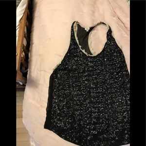 Aritzia Wilfred sparkles